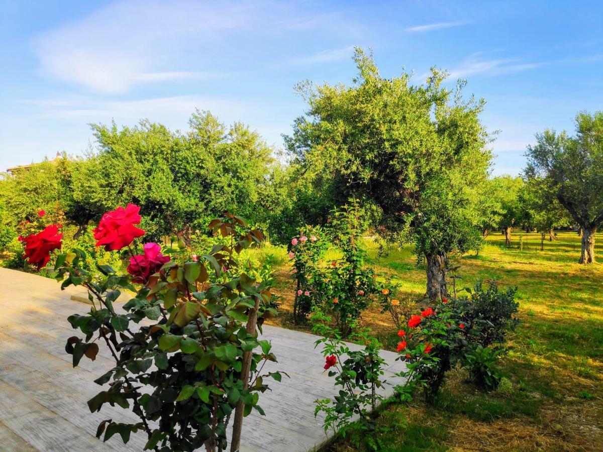 Casa Di Porto Roma Lägenhet Vasilikí Exteriör bild