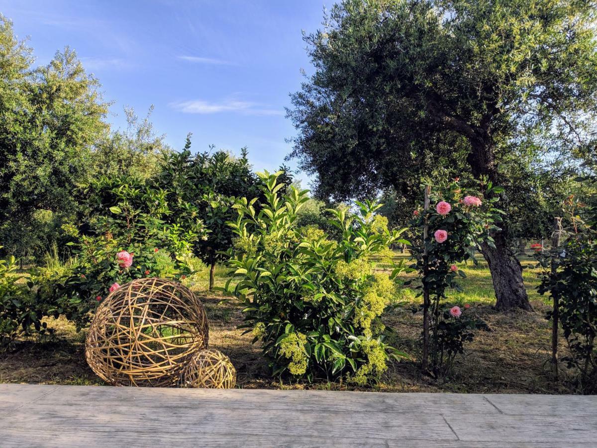 Casa Di Porto Roma Lägenhet Vasilikí Exteriör bild